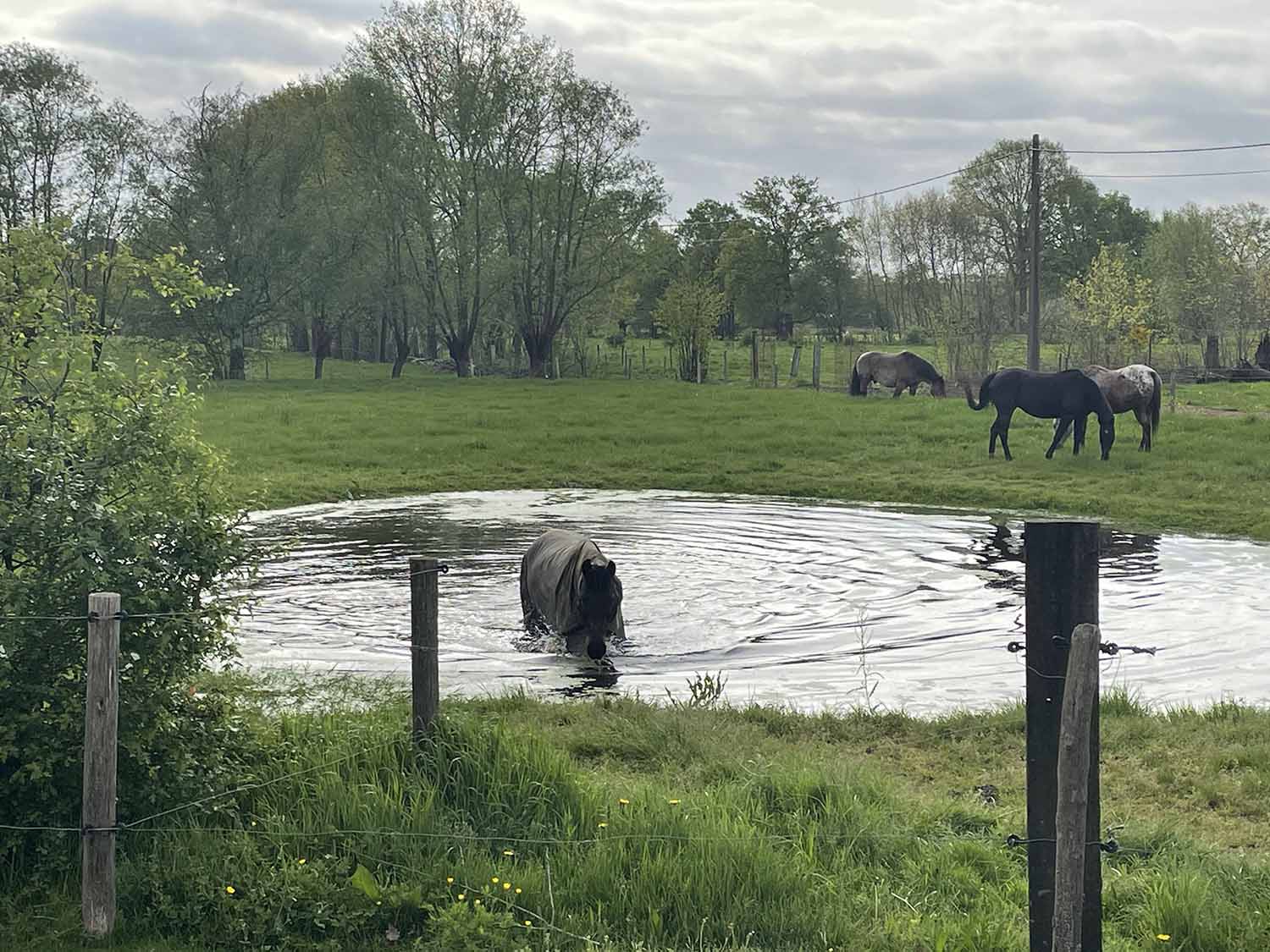 Pension de Poedertoren